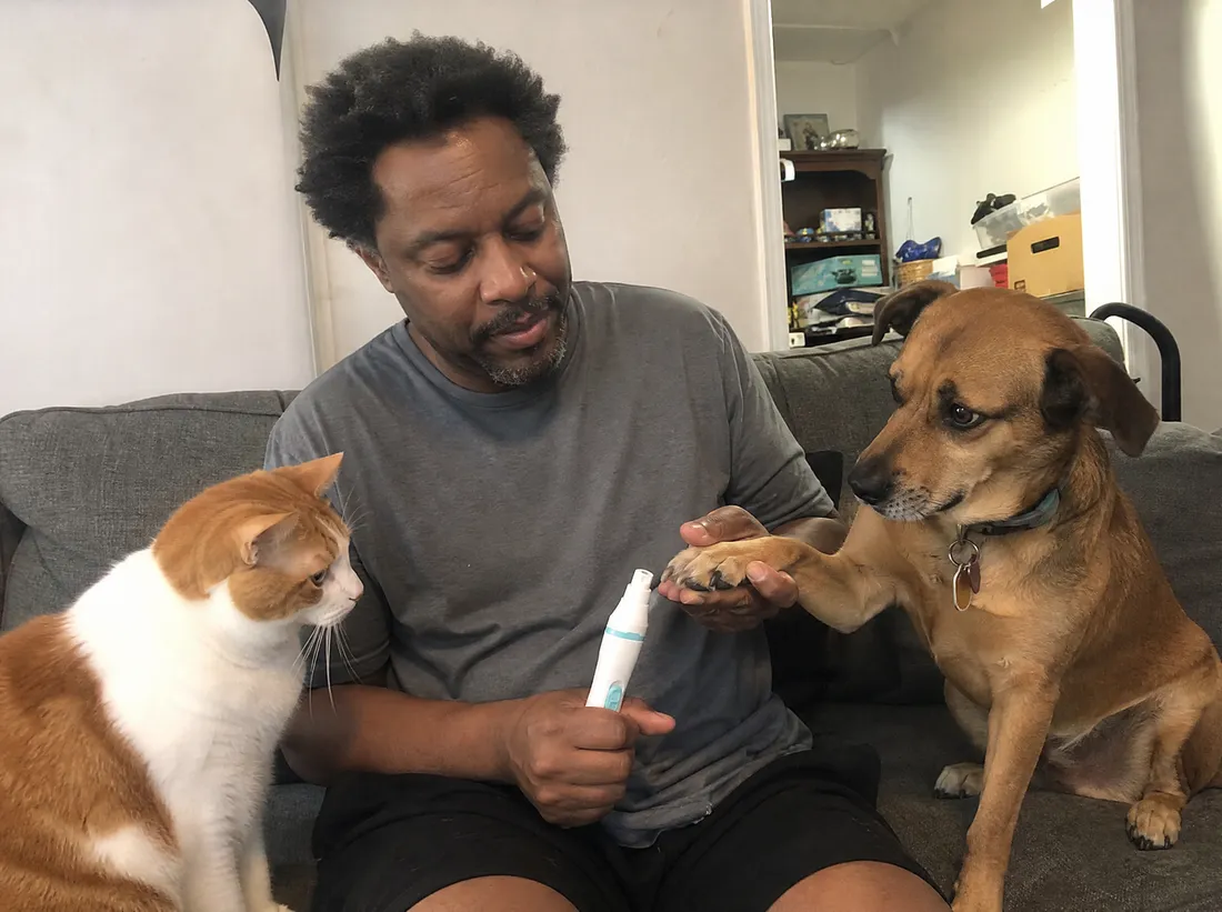 Man on a sofa grinding a dog's nails while a cat watches